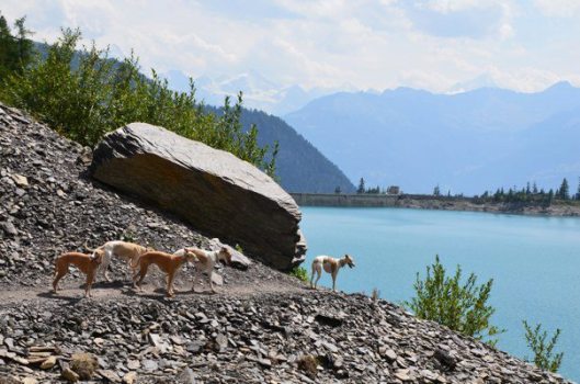 315919_10150308623083882_659538881_7926093_1123983378_n