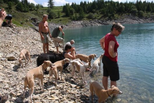 Flexchalet MP 2011 (190)