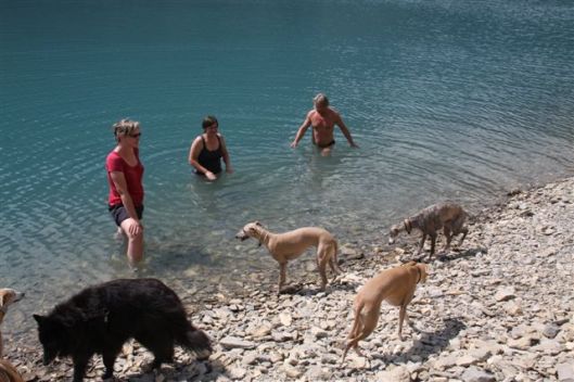 Flexchalet MP 2011 (194)