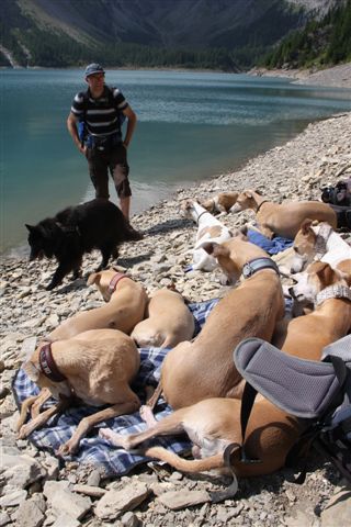 Flexchalet MP 2011 (221)