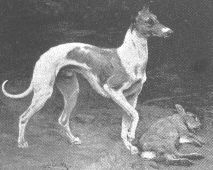 Enterprise DOB 31 maart 1893