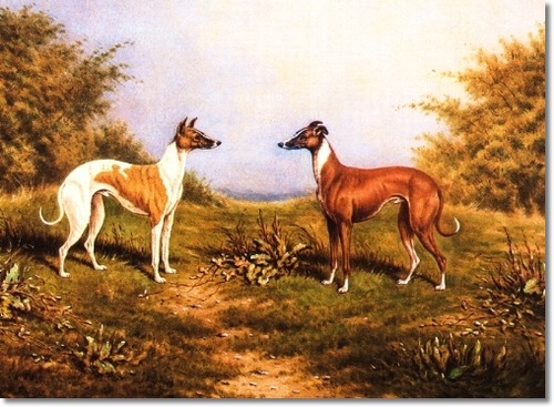 Enterprise en Zuber door William Turner