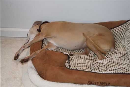 24 november 2012 004