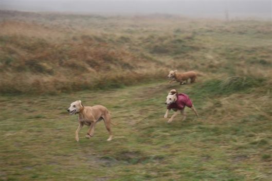 24 november 2012 039