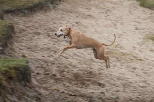 24 november 2012 067