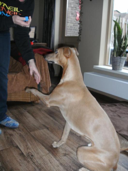 531039_441870175861010_1655160760_n