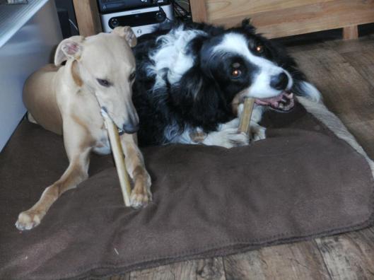 532239_441482625899765_659151631_n