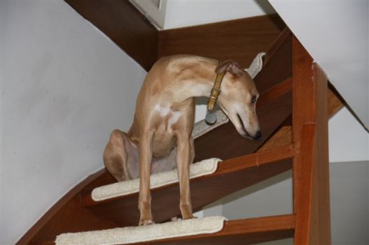 16 december 2012 002