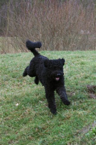 16 december 2012 028