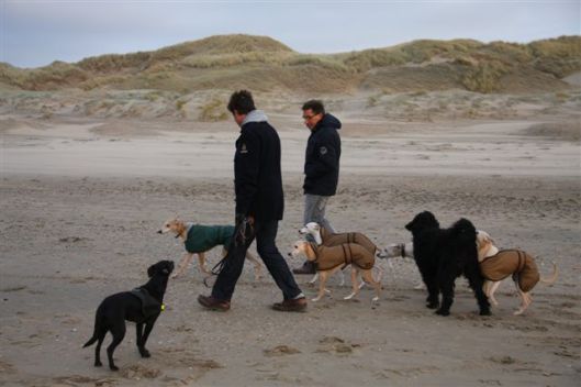 16 december 2012 057