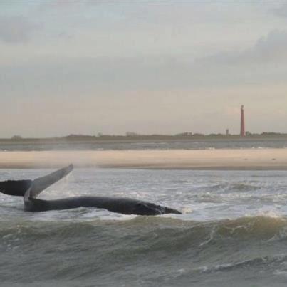 16007_315395471899772_1544317522_n