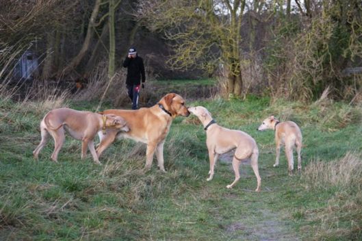 26 december 2012 017