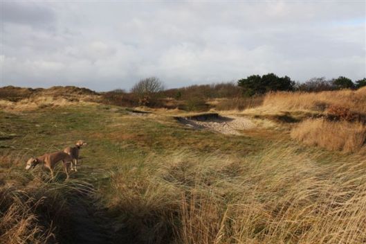 26 december 2012 023