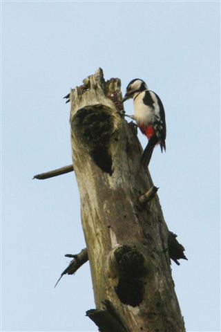 26 december 2012 044