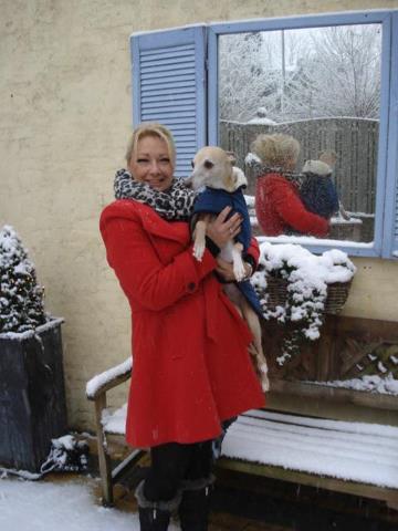 65137_176149205863446_976312737_n