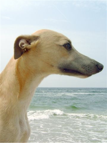 Afbeelding 037_1_32 verkleind 1