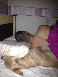 Dekbedfoto 11 dec 2012