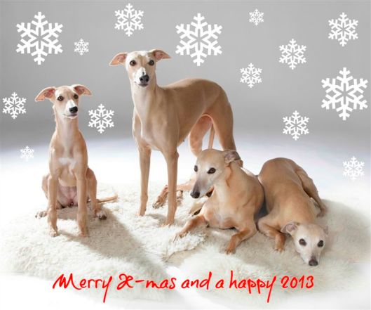 Kerstkaart 2012 verkleind