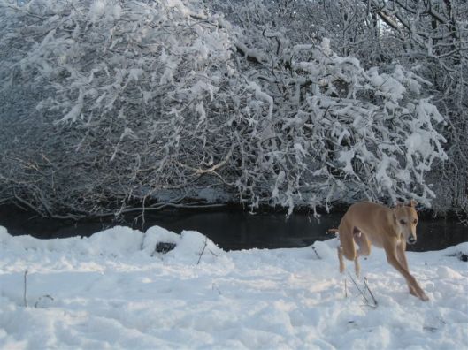 Sneeuw rennen 11 dec 2012