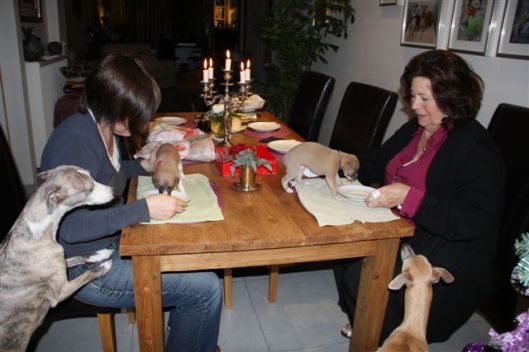 30 december 2012 003