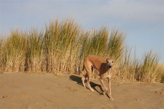 30 december 2012 023