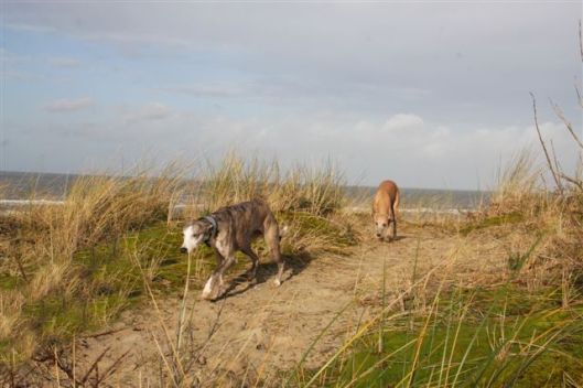 30 december 2012 048