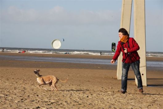 30 december 2012 121