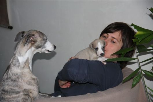 30 december 2012 132