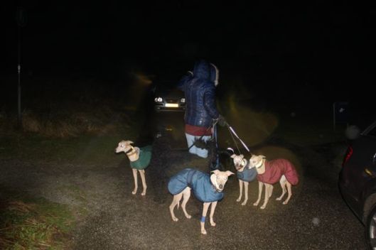 31 december 2012 015