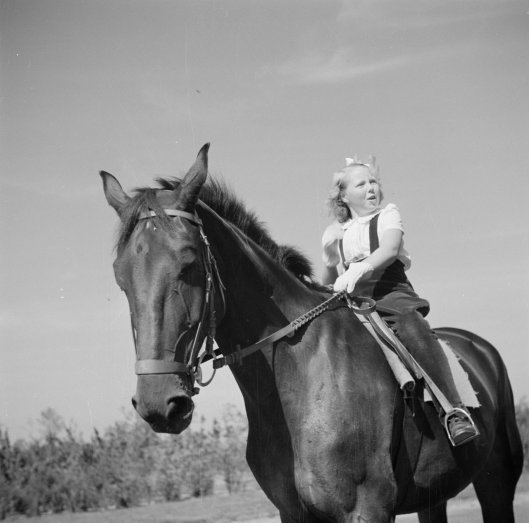 d7e1f99c933f828702c3929de48b3b195fd8dcb808281b97a90a6971c40ed475