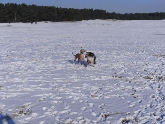 1194_466156086765752_825735635_n