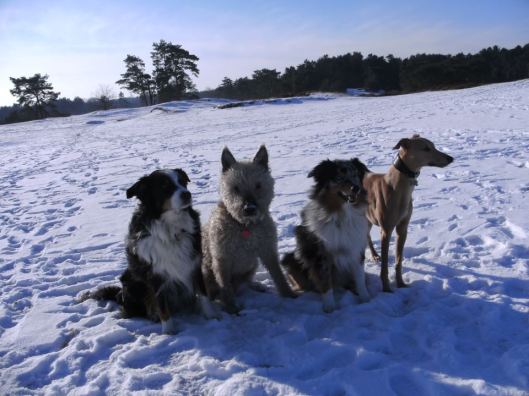 601059_466155946765766_1023017533_n