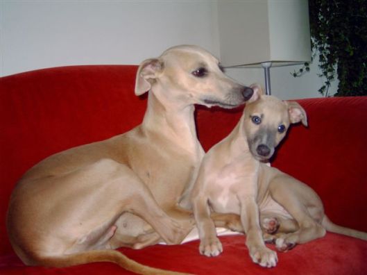 Caring never stops 1