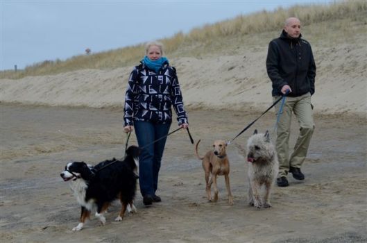 20130303-15-43-37-dsc_6481