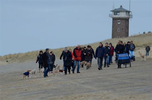 20130303-15-43-40-dsc_6482