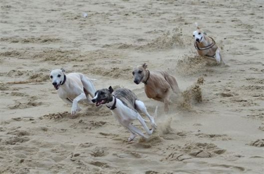 20130303-15-46-35-dsc_6497