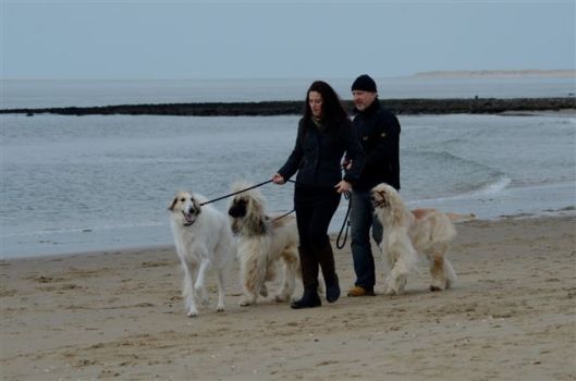 20130303-15-51-15-dsc_6543