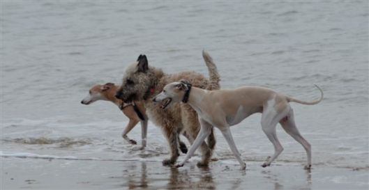 20130303-15-52-57-dsc_6548