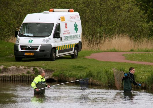 reddingsactieeendjes1