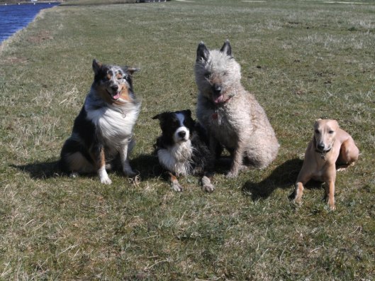 541656_499972893384071_482354559_n