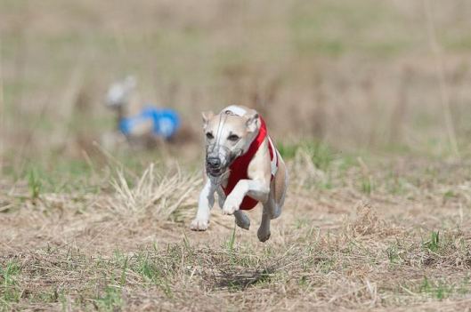 575251_144542825729366_425874143_n