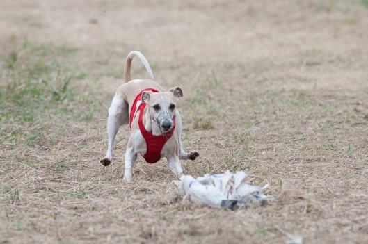 944644_144733382376977_168773570_n