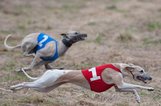 970181_144733362376979_1323146633_n