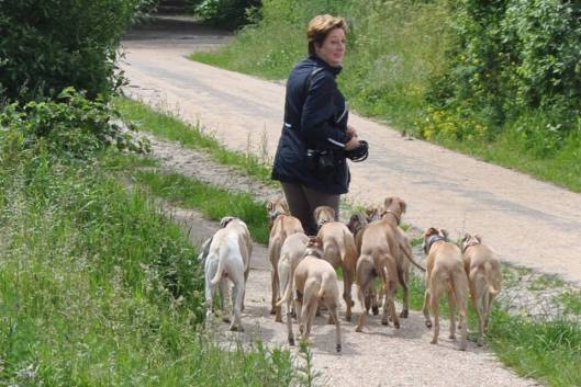 1016119_202125573277388_448883617_n