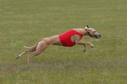 426652_4297635498514_653740320_n