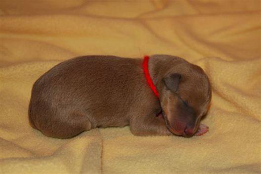 9058_4297633978476_943238666_n