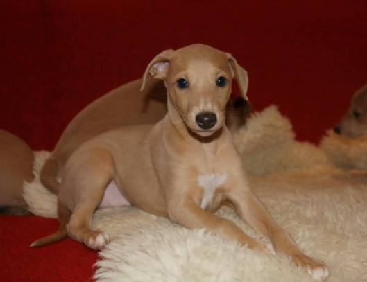 942750_4261223148228_1636491495_n