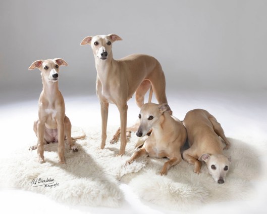 Chloe Jewel Hinde Hazel april 2012