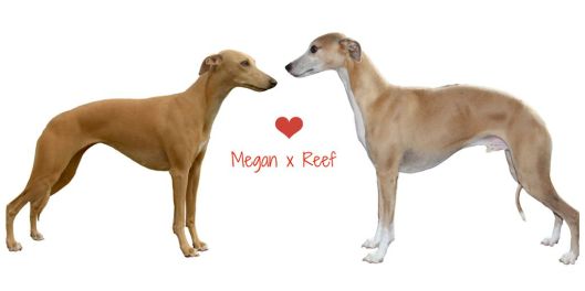 Megan en Reef hart verkleind