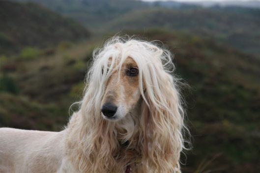 20 oktober 2013 (14)